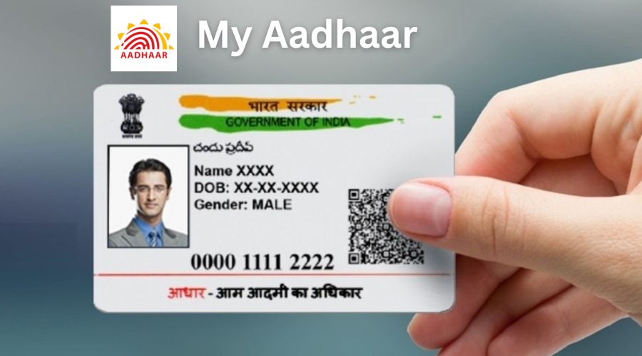 Check Aadhaar Update Status