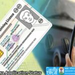 Driving Licence Application Status: लाइसेंससाठी केलेल्या अर्जाची स्थिती अशी तपासा