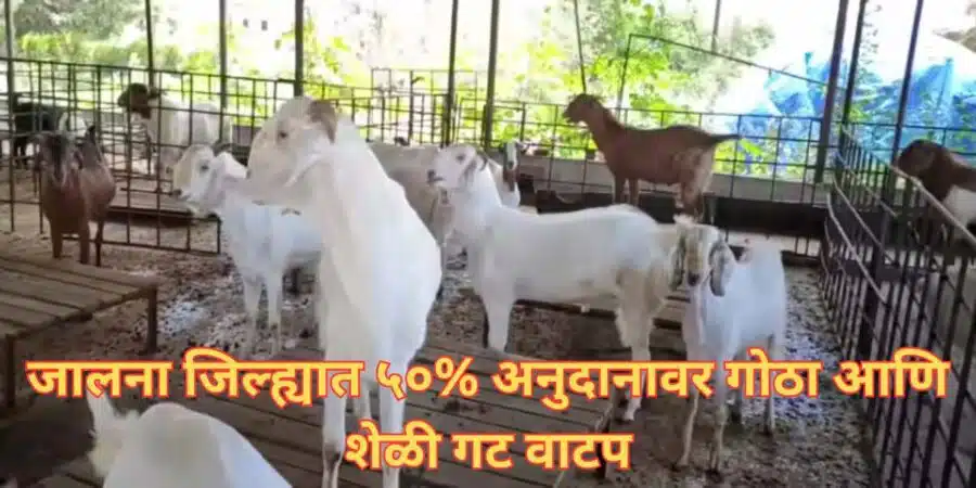 जालना जिल्ह्यात ५०% अनुदानावर गोठा आणि शेळी गट वाटप